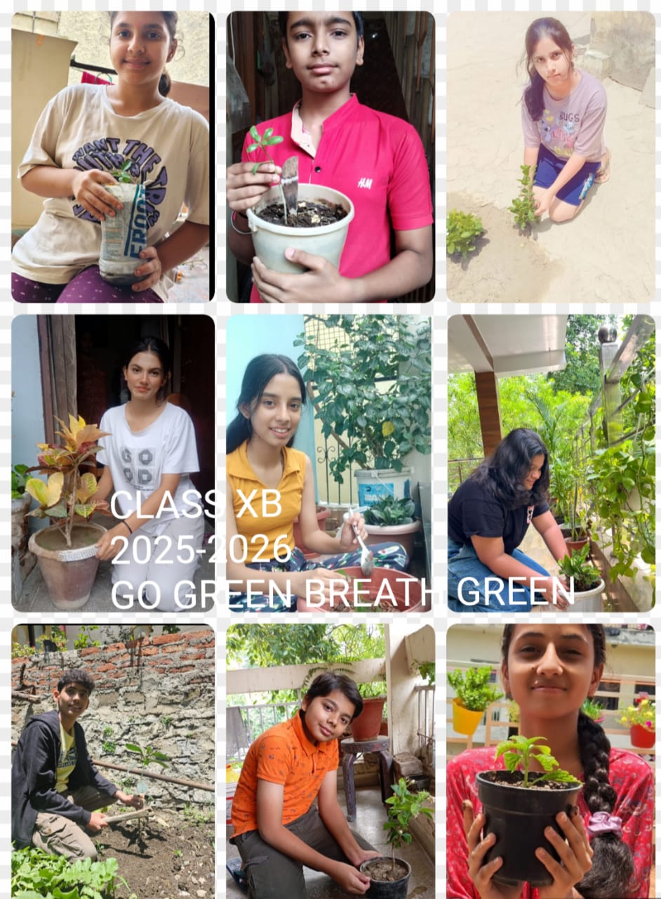 World Environment Day -5 June 2025